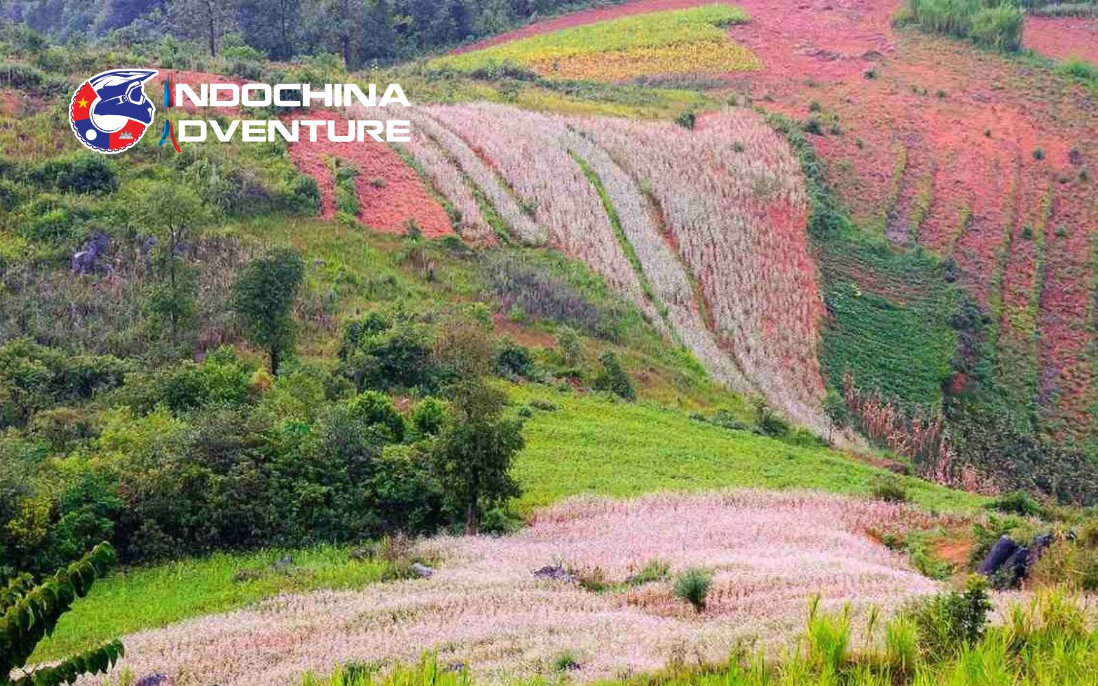 Rustic valley surrounded by pastel blossoms and earthen houses Rustic valley surrounded by pastel blossoms and earthen houses