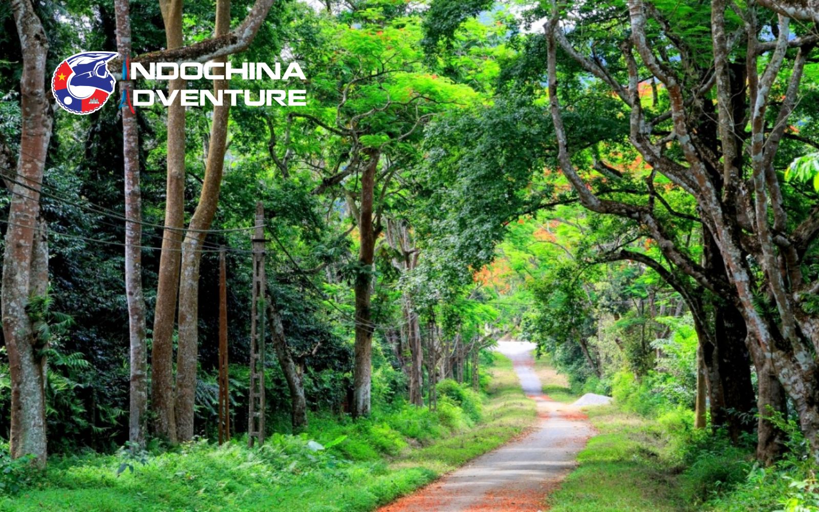 Exploring the scenic motorbike route within Nam Cat Tien National Park