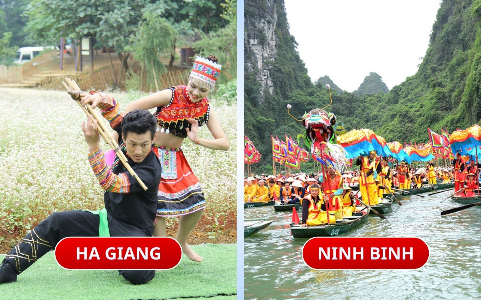Compare the intensity of the Ha Giang loop vs Ninh Binh boat tours Compare the intensity of the Ha Giang loop vs Ninh Binh boat tours