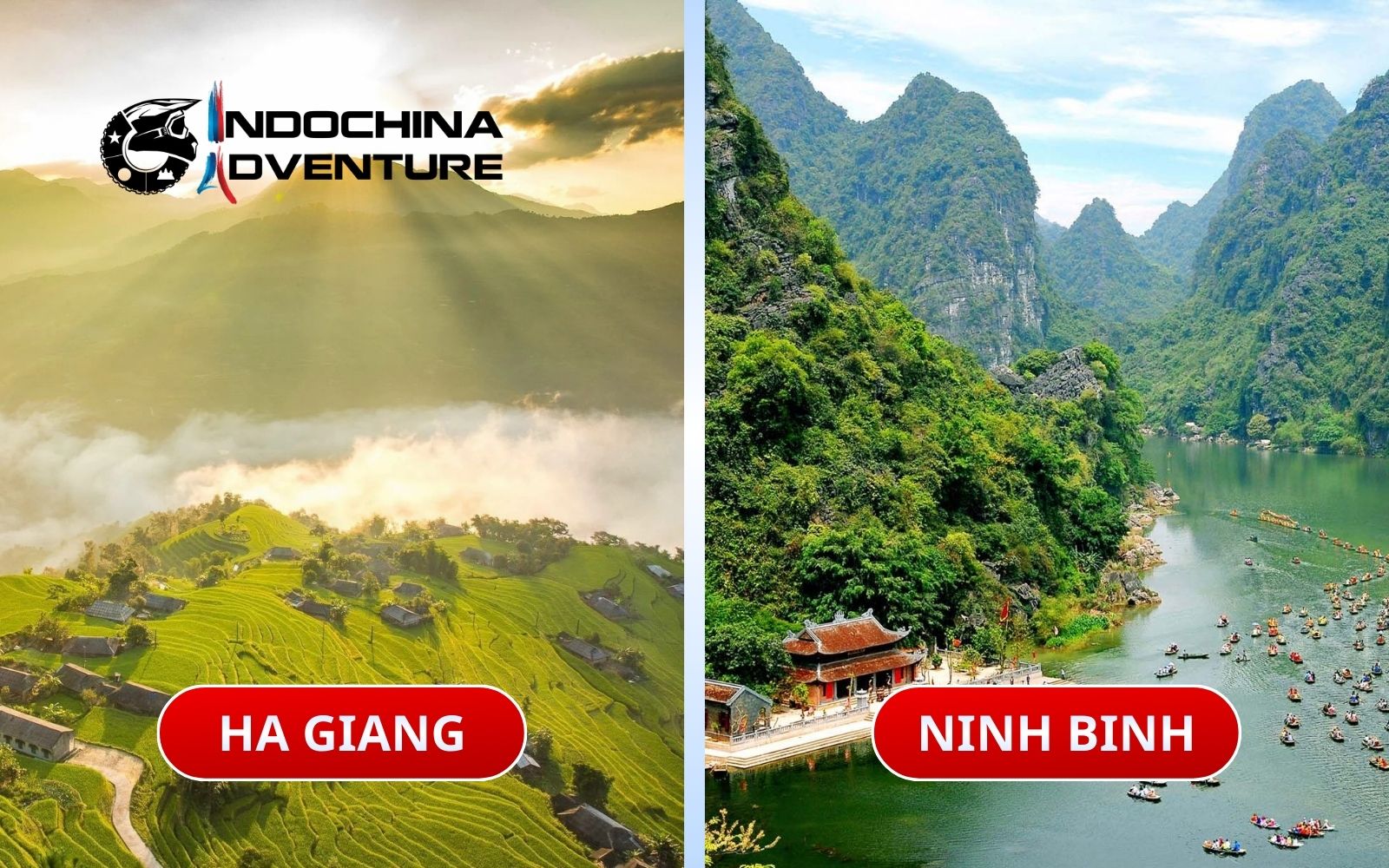 Witness the dramatic contrast in scenery when exploring Ha Giang vs Ninh Binh Witness the dramatic contrast in scenery when exploring Ha Giang vs Ninh Binh