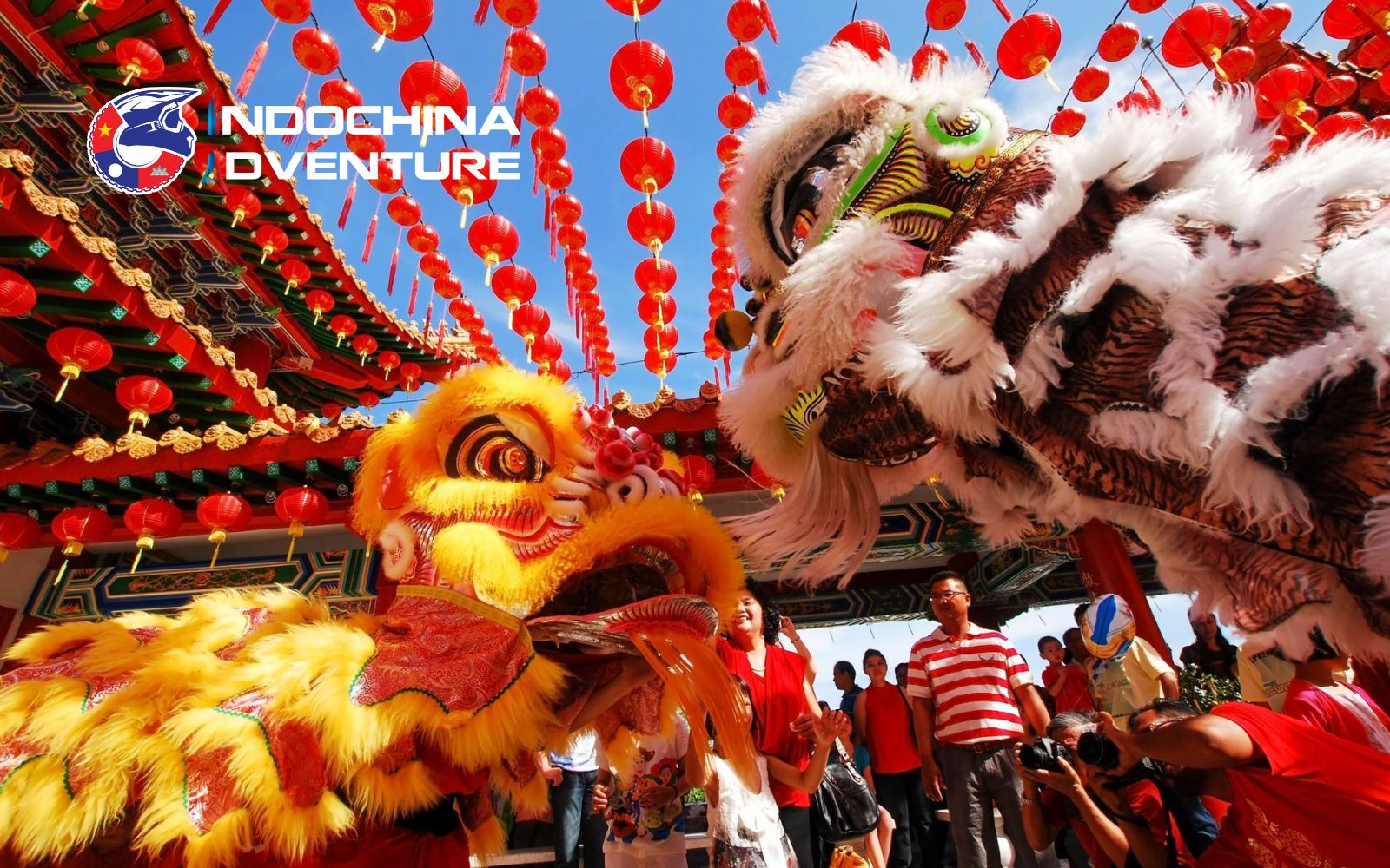 These New Year celebrations reflecting spiritual beliefs and community life Lunar New Year and Ethnic New Year Festivals in Dong Van