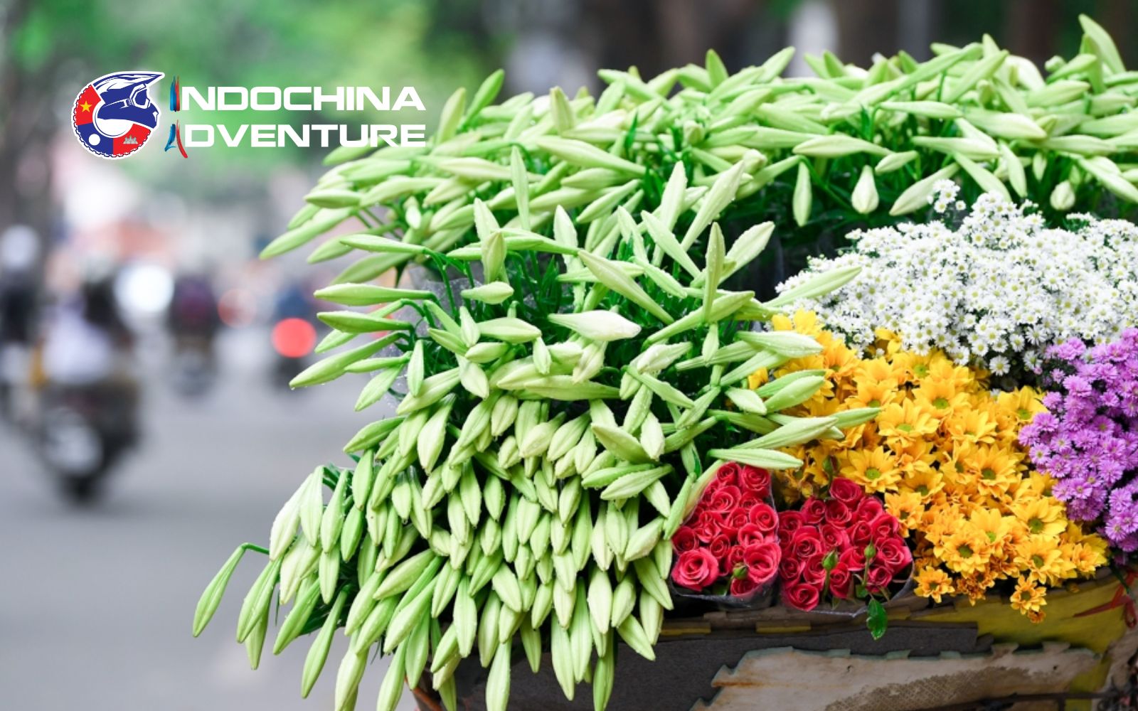 Admire the "Queen of April": White Lilies (Hoa Loa Ken)