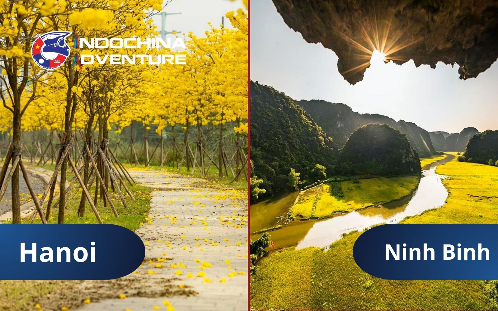 Indoor museum escapes in Hanoi versus outdoor risks in rainy Ninh Binh