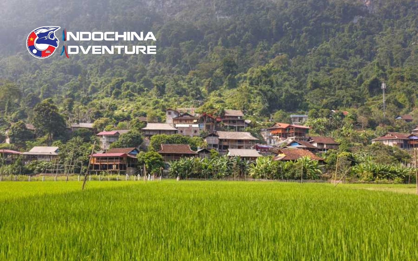 Local village in Ban Gioc