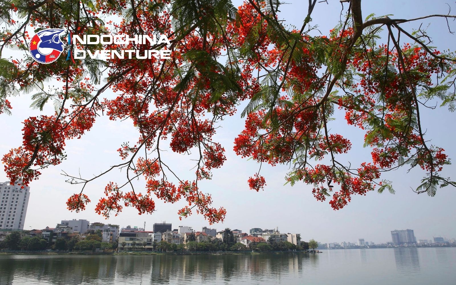 Hanoi weather in late May – A clear transition into the tropical summer Hanoi weather in late May – A clear transition into the tropical summer