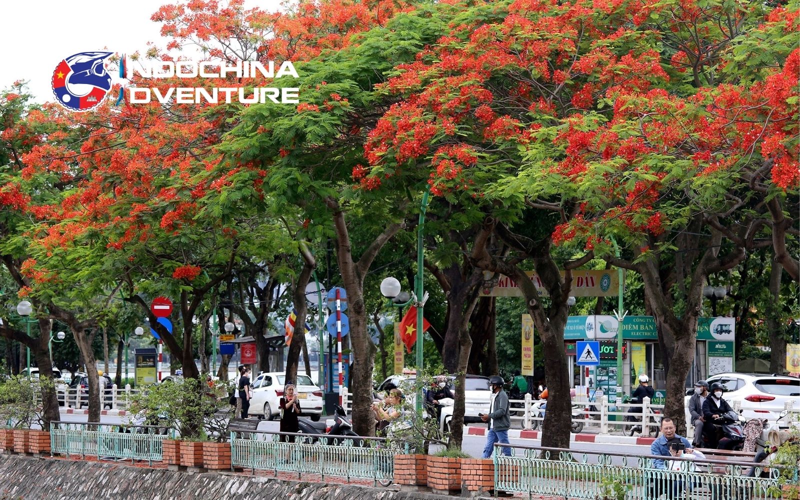 Warmer days arrive, vibrant street life fills Hanoi’s busy avenues Warmer days arrive, vibrant street life fills Hanoi’s busy avenues