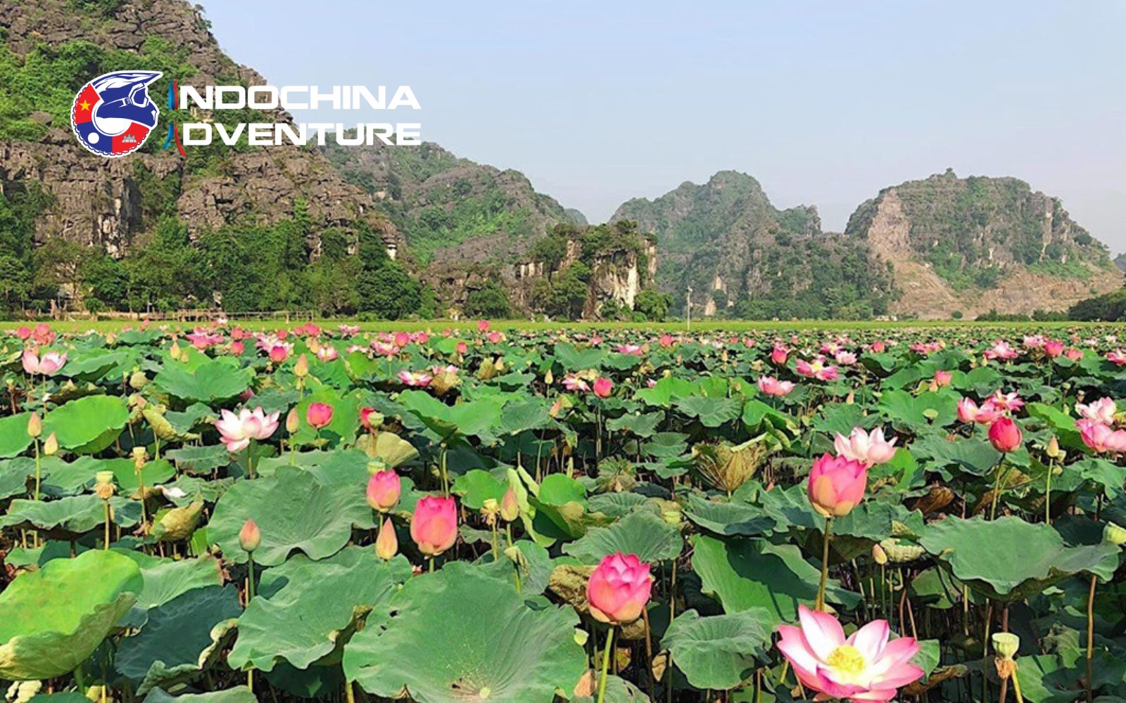 Conquer the dragon peak early to beat the high Ninh Binh temperature June