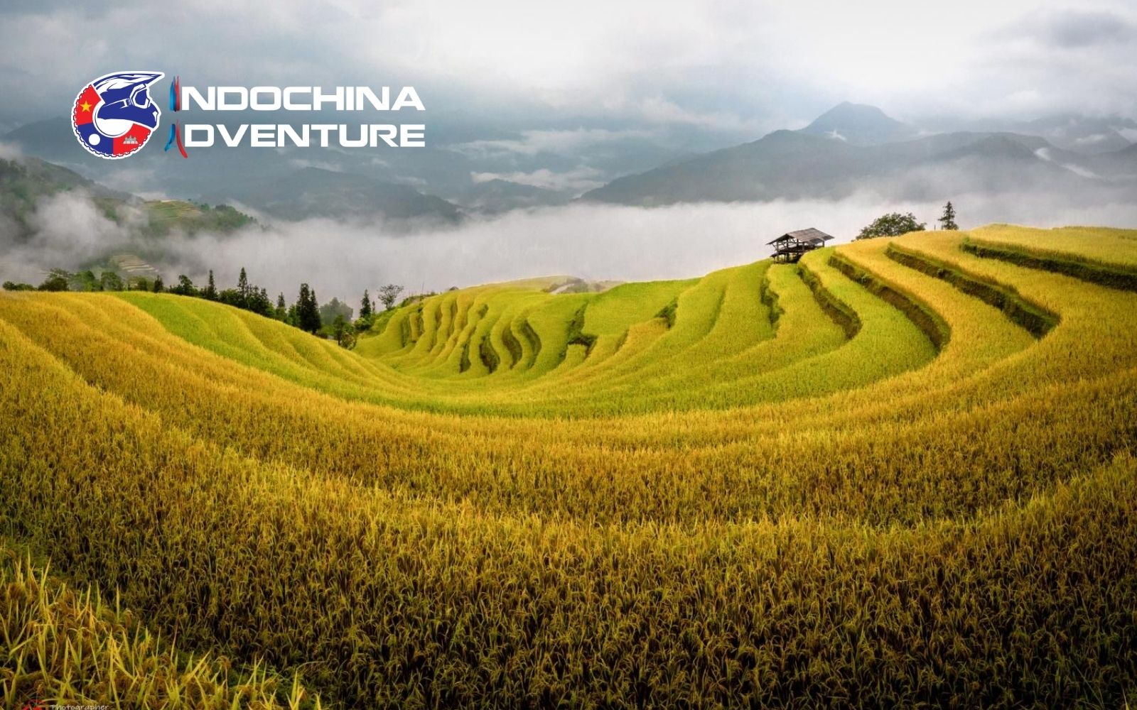 Mirror-like fields create a breathtaking "water-pouring" spectacle during the Ha Giang Loop in June Mirror-like fields create a breathtaking "water-pouring" spectacle during the Ha Giang Loop in June