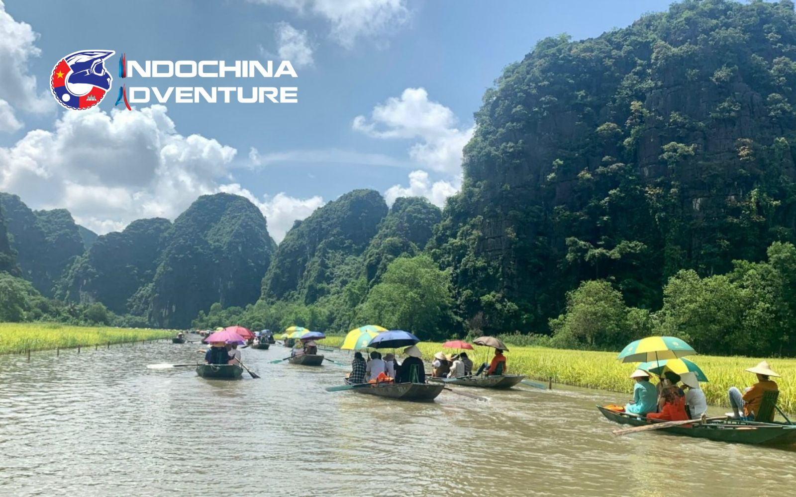 Drifting through shimmering harvests is a highlight of Ninh Binh in June