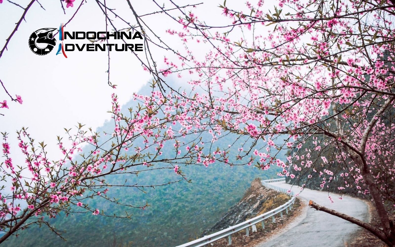 Spring scenery shaped by weather in Ma Pi Leng Pass with fresh green landscapes