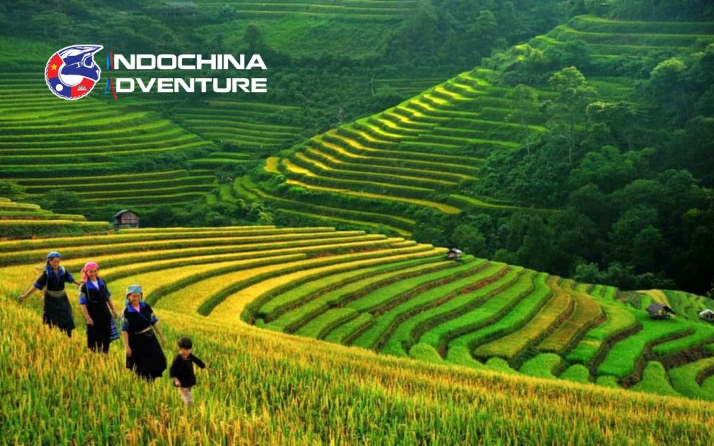 Sapa in June