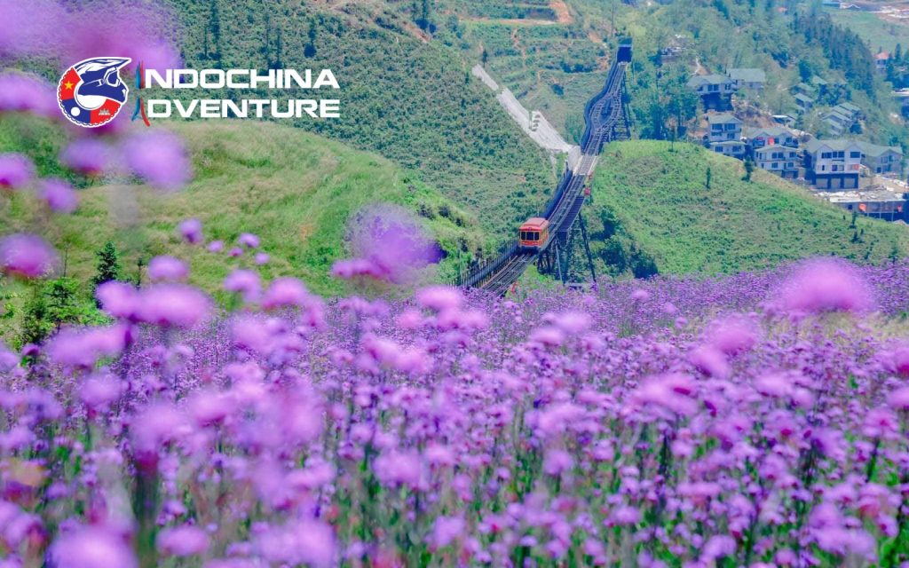 Sapa weather June