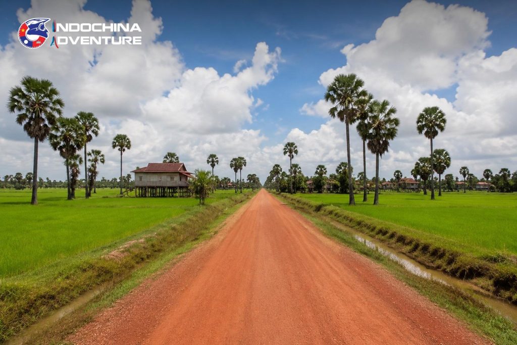 Empty red laterite dirt road through rice fields and sugar palms on a Cambodia motorbike tour