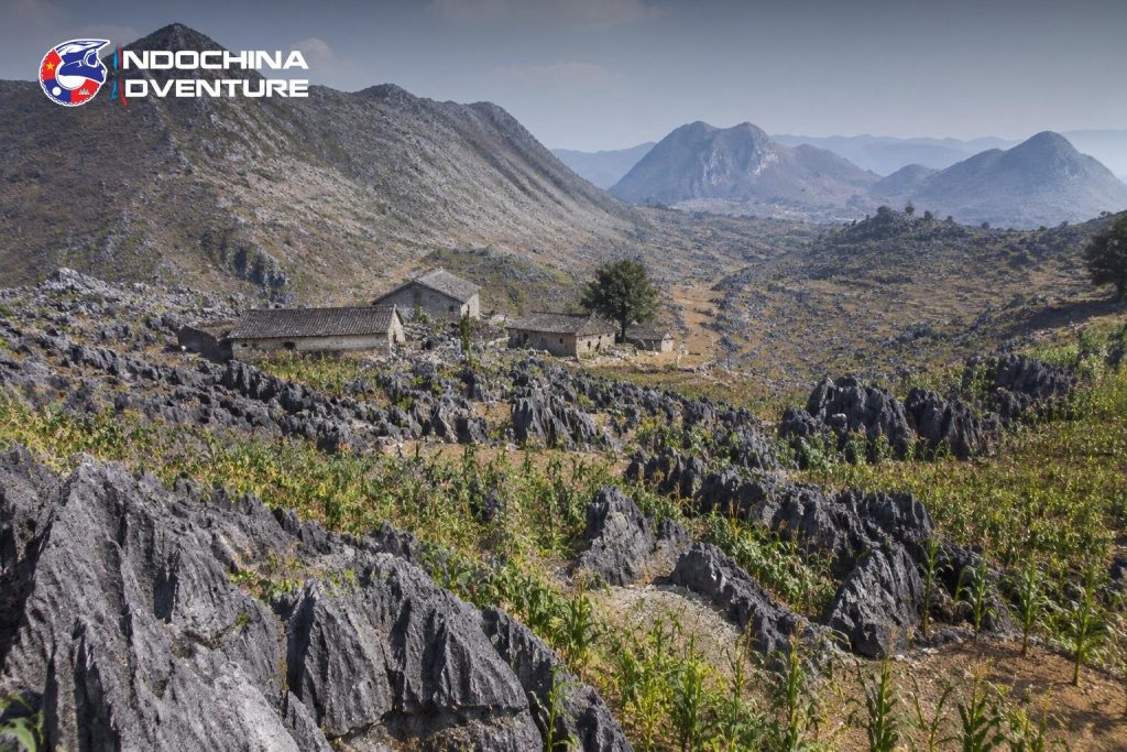 Grey limestone rock plateau with terraced maize plots and stone houses on the Ha Giang Cao Bang tour
