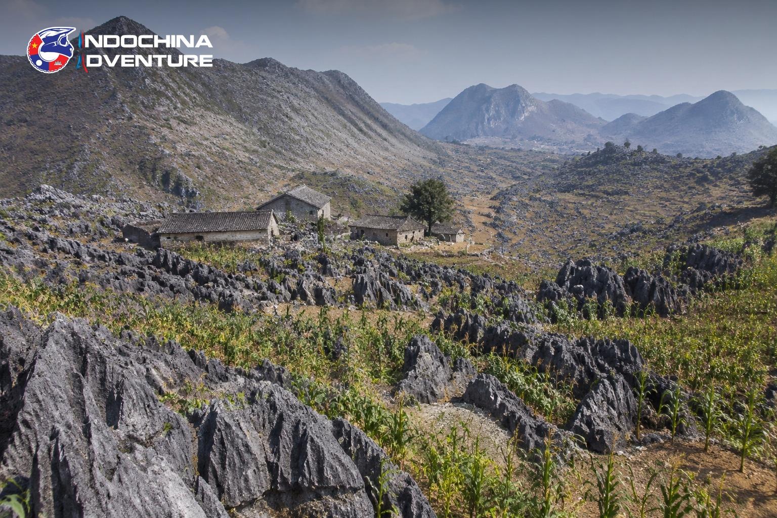 Grey limestone rock plateau with terraced maize plots and stone houses on the Ha Giang Cao Bang tour